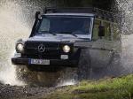Mercedes-Benz G300 CDI Professional 2010 года